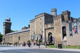 Private Doctor Who-Tagestour durch Südwales - Burgen, Cardiff und Doctor Who!