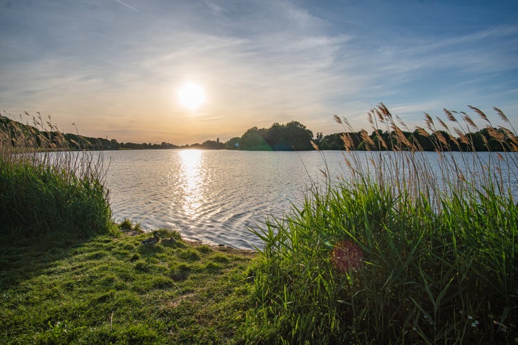 Photo of grass waving in the wind with beautiful werdersee, a river in bremen, in the background at sunset.