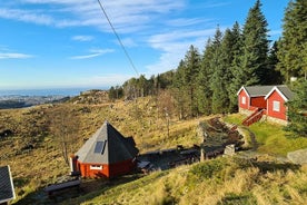 Visit a local farmer at Kringsjaa Mountain farm