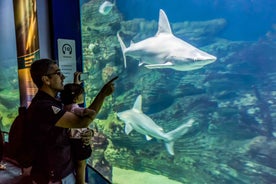 Valencia: Aðgöngumiði að Oceanogràfic