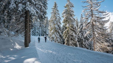 photo of panoramic view of Lana is a commune and a village in South Tyrol in northern Italy. It is situated in the Etschtal between Bolzano and Merano and at the entrance to the Ultental.