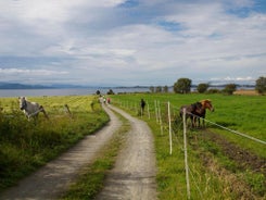 Kårstua - Austrått Agroturisme