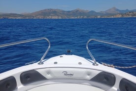 Boat Rental in the Coast of Santa Ponsa