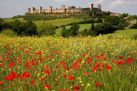 Recorrido de senderismo en la Toscana desde Siena con cata de vinos