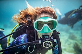 テネリフェ島での 3 時間のガイド付き PADI スキューバ ダイビング体験