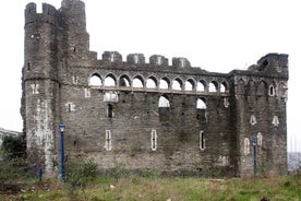 Visite privée historique et culturelle de Swansea avec un guide local