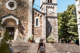 Chianti og slott liten gruppetur fra Siena med vinsmaking