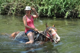 Marmaris Horse Safari, Sæktu frá Marmaris, Icmeler & Armutalan