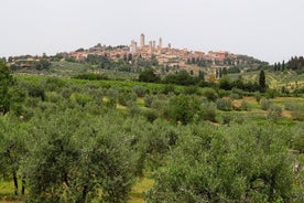 Private Tour nach Siena und San Gimignano mit Weinprobe und Mittagessen