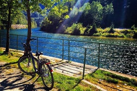 Visite autoguidée d’une demi-journée en vélo électrique à la Gorge Vintgar au départ de Bled