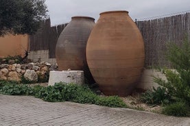 Viagem diurna com degustação de vinhos para grupos pequenos, saindo de Madri