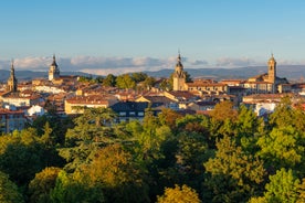 Photo of aerial view of Tudela with view of Ebro River and cathedral, Autonomous community of Navarre, Spain.