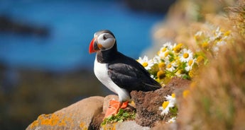 Walking in the Faroe Islands