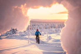  Passeio em grupo à tarde de inverno em Saariselkä