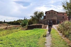 E-Bike-Tour und Weinprobe ab Bardolino