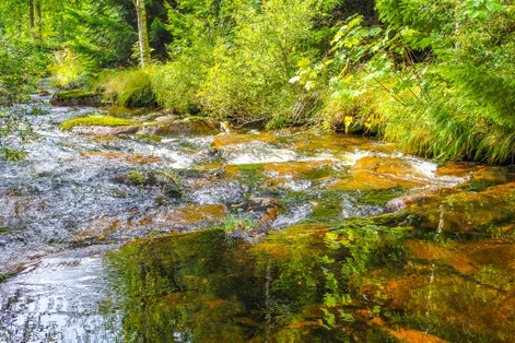 Small waterfall river and stream landscape panorama on the Brocken mountain in National Park Harz in Wernigerode Lower Saxony Germany.