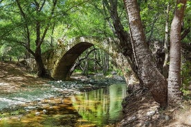 Tour de día completo en las montañas de Troodos: pueblos y cascadas