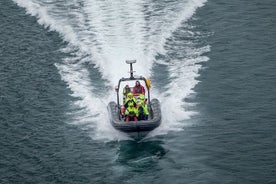 Tromsø: Skjervøy RIB Whale Watching Tour met drankjes en snacks