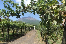 Privat guidad vinprovningsupplevelse i Vesuvius med lunch