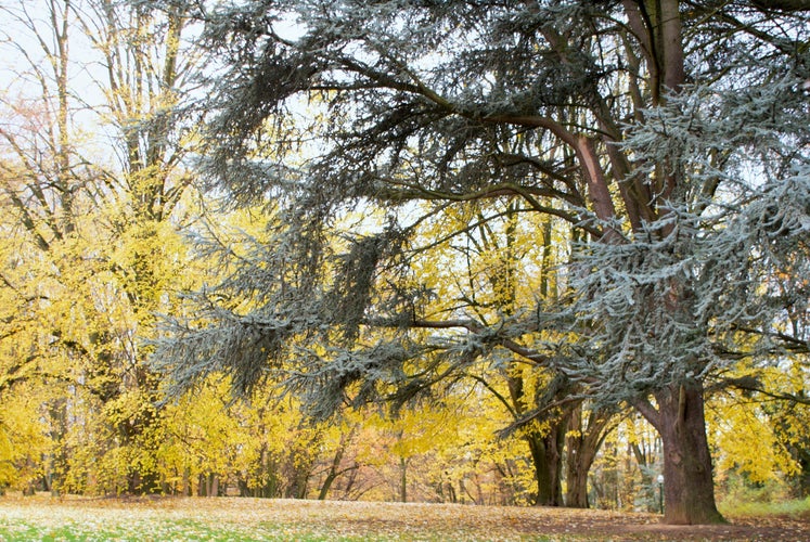 Parc Astrid, Anderlecht, Belgium