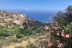 Road trip d'une journée des montagnes du Nord aux plages du Sud