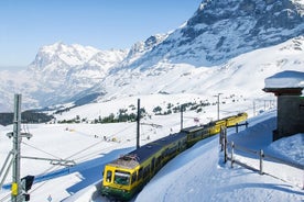 Päiväretki Jungfraujoch Top of Europeen EigerExpress-gondolimatkalla Zürichistä