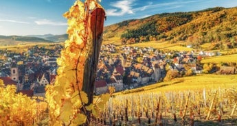 Alsace: land of tradition and gastronomy (port-to-port cruise) - BOHEME