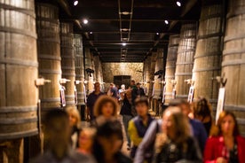 Logroño: Franco - Spanish Wineries guided visit & optional tasting