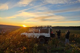 Dégustation de Champagne au coucher du Soleil dans le Vignoble