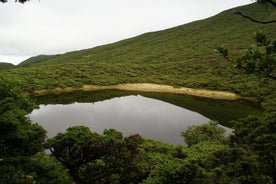 Vandrestier i Terceira