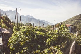 Weinprobe bei Sonnenuntergang im Weingut Tagliafierro