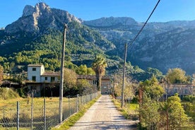 Visite autoguidée des histoires secrètes de Soller