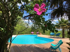 Les Hauts de Jeanvert - Le Bouleau - Piscine - Gaillac