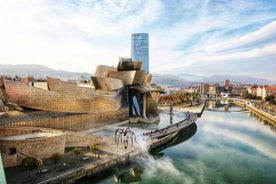 Excursão particular: Museu Guggenheim Bilbao