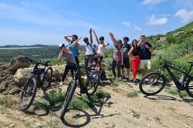 Visite en vélo électrique + déjeuner gastronomique + dégustation de vins (petit groupe)