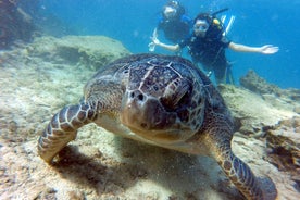 Descubre el buceo