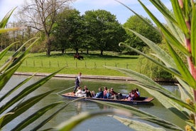 Jaettu Chauffeured Punt Tour