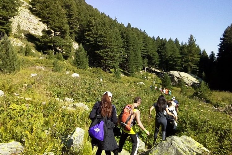 Group of hikers walking through a lush mountain trail surrounded by dense green forest and rocky terrain under a clear blue sky.jpg