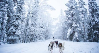 Tailor-Made Private Finland Tour to Fairy Tale Lapland