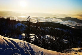 Slegding och spårvagnstur