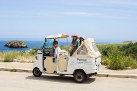 Tour de Polignano a Mare en Ape Calessino