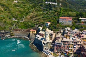 Det bedste fra Cinque Terre Small Group Tour fra Lucca