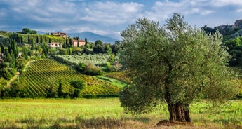 Tuscany guided-Ebiketour | Italy: Highlights of southern Tuscany & Elba | 8 days