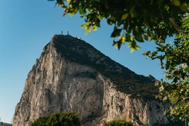 From Malaga and Costa del Sol: Gibraltar Tour