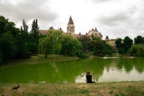 Park of Stanislaw Tolpa ( Park stanisława Tołpy ) in Wrocław, Poland, view of the Faculty of Architecture, University of Technology in Wroclaw