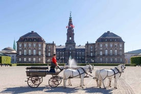 Copenhagen: Christiansborg Palace Entry Ticket