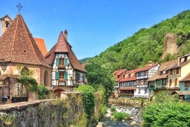 Dagtocht: Colmar, Haut-Koenigsbourg, Riquewihr en Kaysersberg