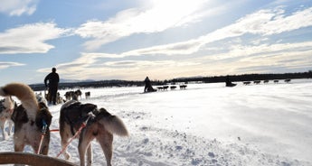 Levi Lapland Explorer - 6 Days