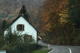 Einkabílstjóri leigubílaflugvöllur Basel-Mulhouse-Freiburg Strassborg (EAP)