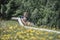 Saalfelden Sommerrodeln (sommerrodelbahn), Saalfelden am Steinernen Meer, Bezirk Zell am See, Salzburg, Austria